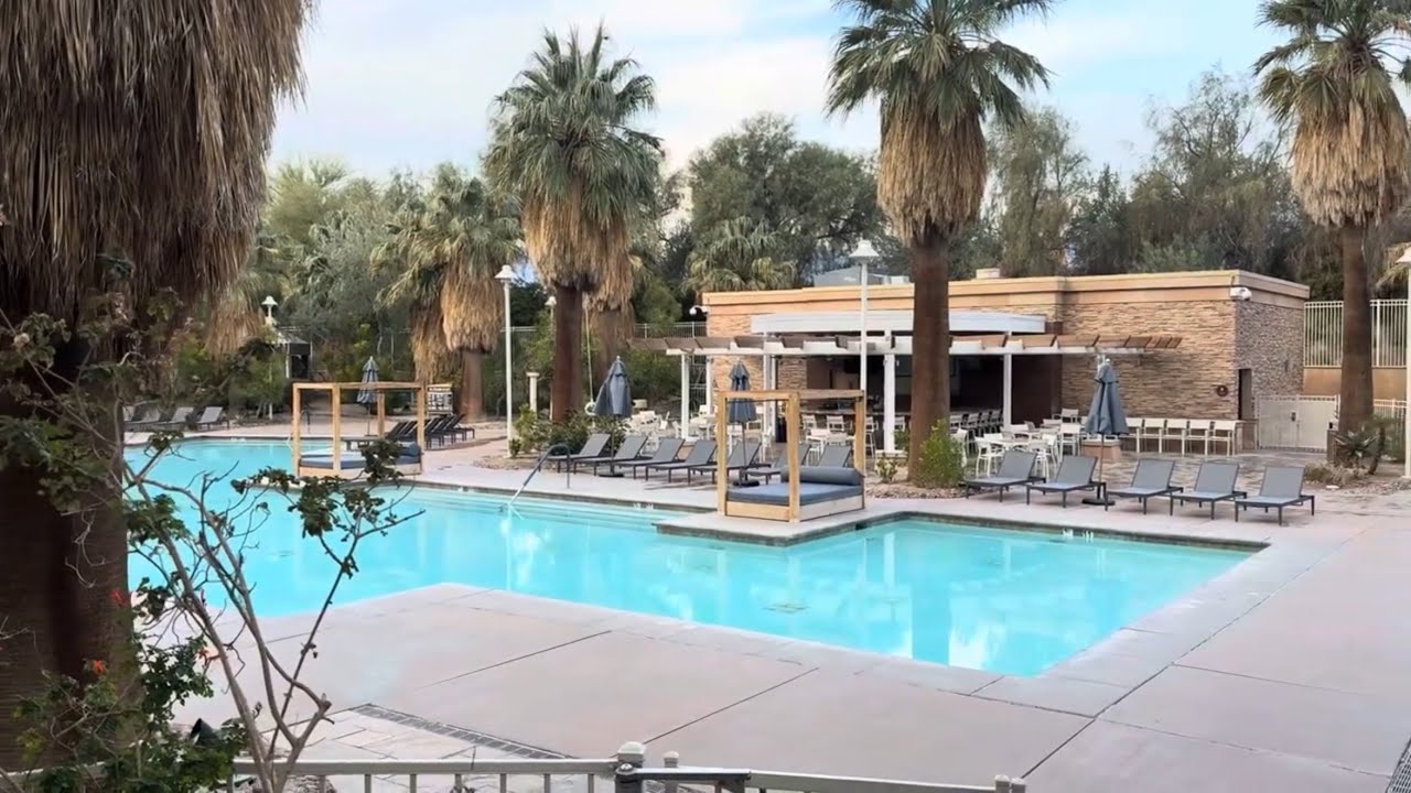 3d陈华赌胆天齐网