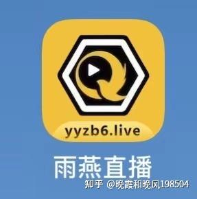 919看球app