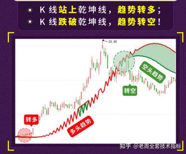 双胆定乾坤金银双胆