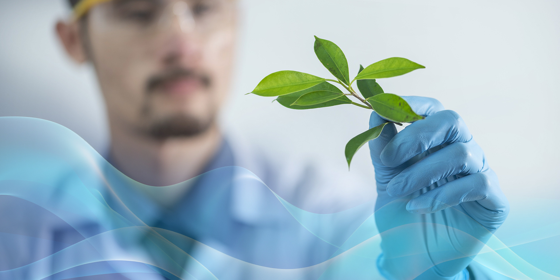 40001百老汇电子游戏 40001百老汇电子游戏