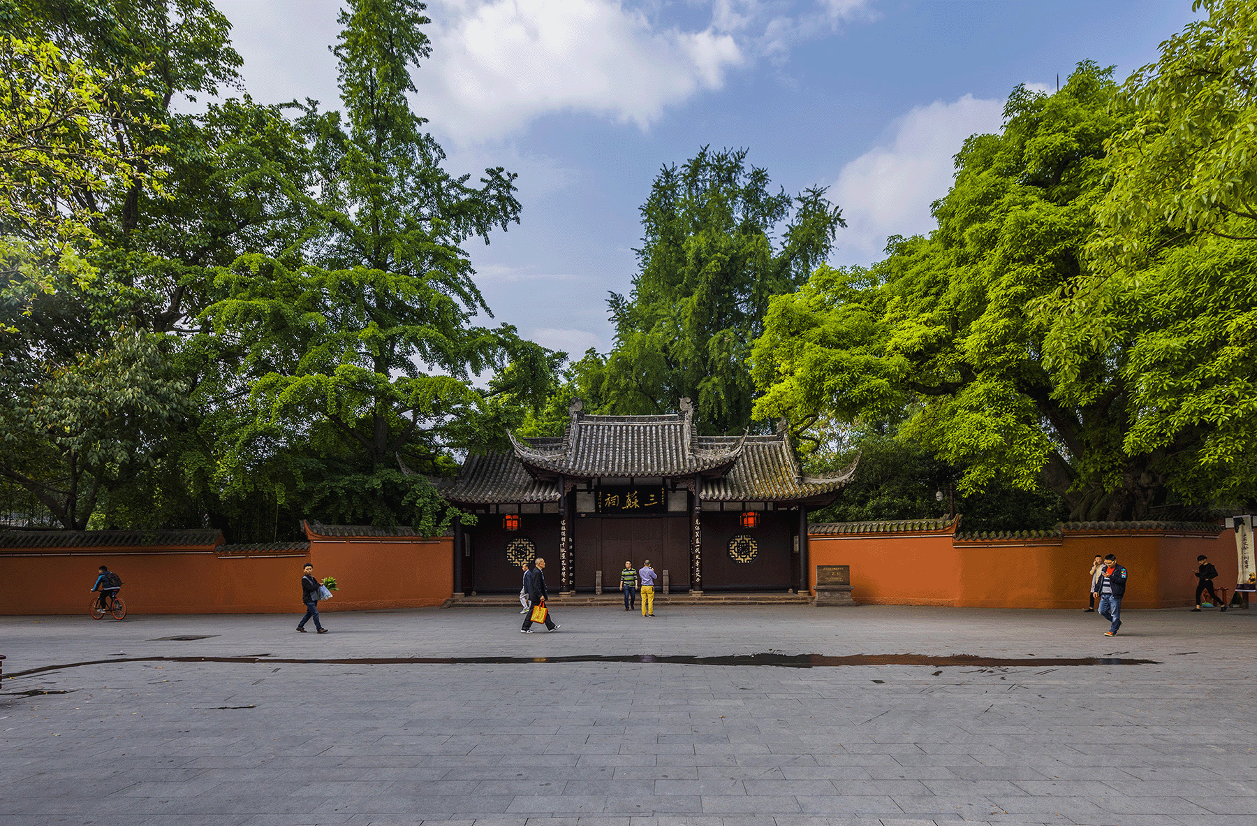 pg电子麻将胡了