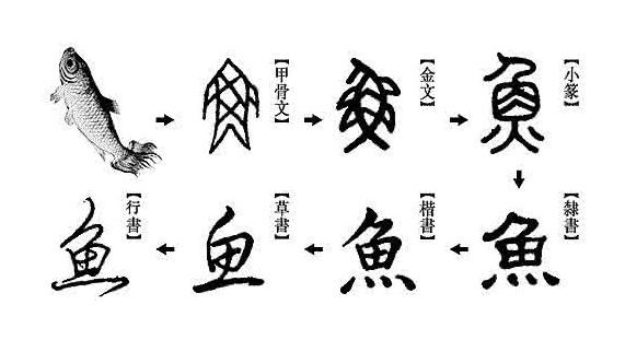ae真人 ae真人