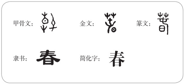 ae真人